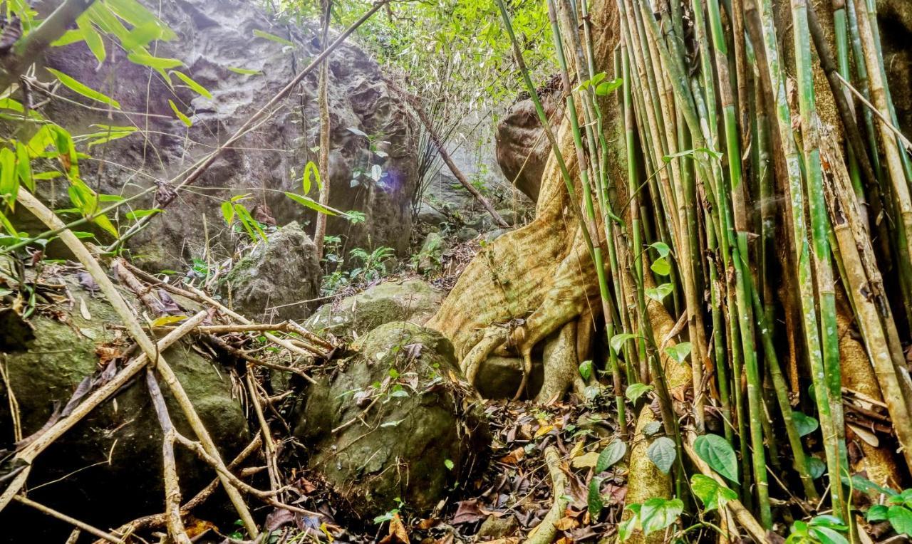 Treebo Tryst Jathika Resorts Kozhikode Ngoại thất bức ảnh