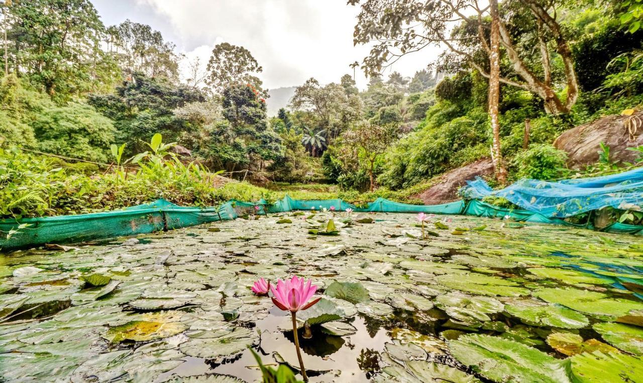 Treebo Tryst Jathika Resorts Kozhikode Ngoại thất bức ảnh